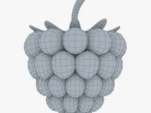 cartoon raspberry v 2 3D Model