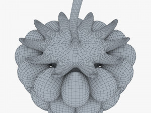 cartoon raspberry v 2 3D Model