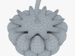 cartoon raspberry v 2 3D Model