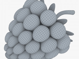cartoon raspberry v 2 3D Model