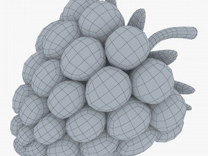 cartoon raspberry v 2 3D Model