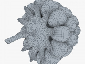 cartoon raspberry v 2 3D Model