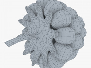 cartoon raspberry v 2 3D Model