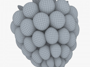 cartoon raspberry v 2 3D Model