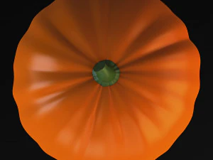 cartoon pumpkin v 1 3D Model