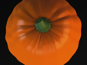 cartoon pumpkin v 2 3D Model