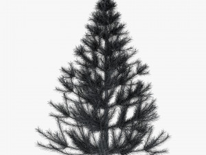 conifer tree 150cm v 1 3D Model