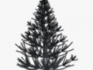 conifer tree 150cm v 1 3D Model