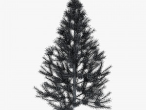 conifer tree 150cm v 1 3D Model