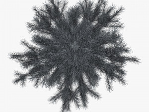 conifer tree 150cm v 1 3D Model