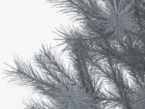 conifer tree 150cm v 1 3D Model