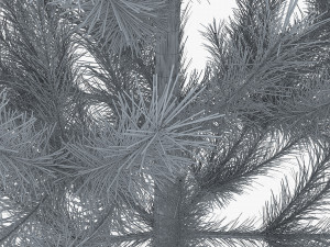 conifer tree 150cm v 1 3D Model