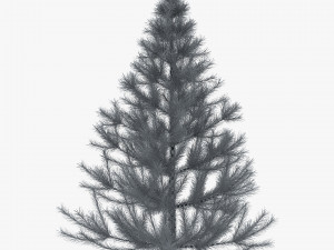 conifer tree 150cm v 1 3D Model