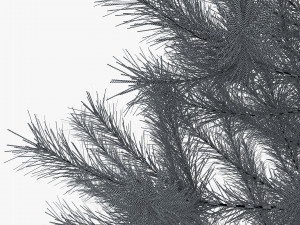 conifer tree 150cm v 1 3D Model