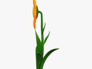 cartoon flower v 4 3D Model
