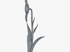 cartoon flower v 4 Modello 3D