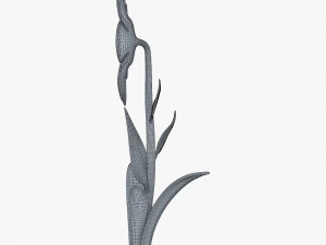 cartoon flower v 4 3D Model