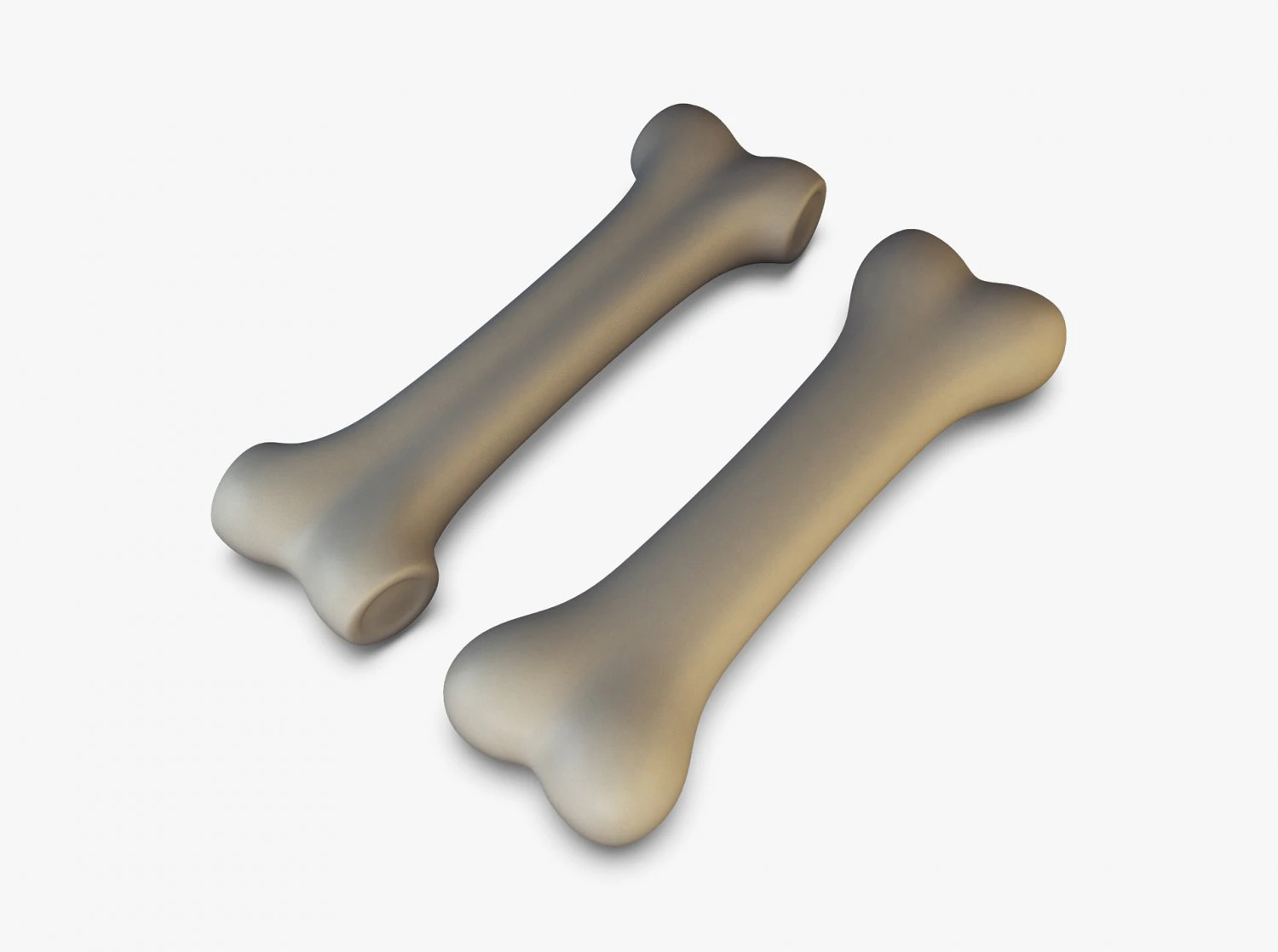 cartoon bone v 2 3D Model .c4d .max .obj .3ds .fbx .stl .blend 