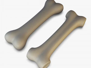 cartoon bone v 2 3D Model