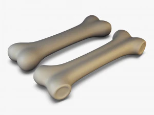 cartoon bone v 2 3D Model