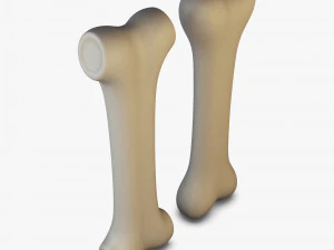 cartoon bone v 2 3D Model