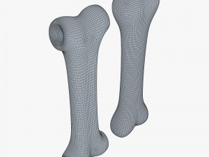 cartoon bone v 2 Modelo 3D