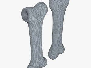 cartoon bone v 2 3D Model