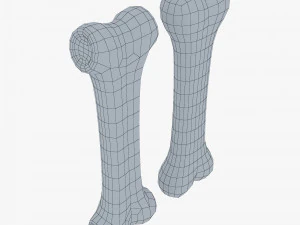 cartoon bone v 2 3D Model
