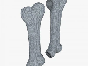 cartoon bone v 2 3D Model
