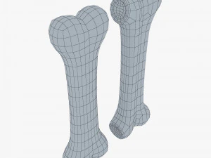 cartoon bone v 2 3D Model