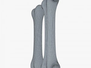 cartoon bone v 2 3D Model