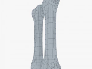 cartoon bone v 2 3D Model
