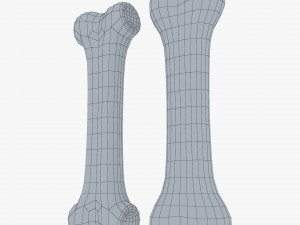 cartoon bone v 2 Modelo 3D