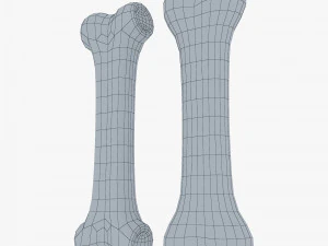 cartoon bone v 2 3D Model