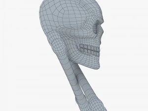 Pirate Skull Bones M 1 3D Model