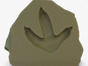 Petrified Imprint 3D Model