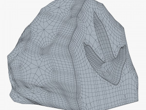 Petrified Imprint 3D Model