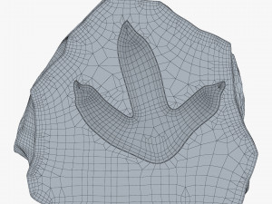 Petrified Imprint 3D Model