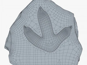 石化印记 3D 模型