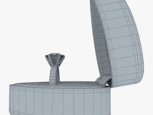 Ring in Red Box v 1 3D Model