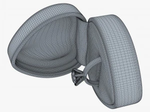Ring in Red Box v 1 3D Model