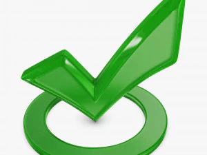 Check Mark v 2 3D Model