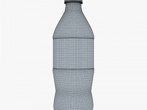 Splashberry Bottle 500ml Simple M 1 3D Model