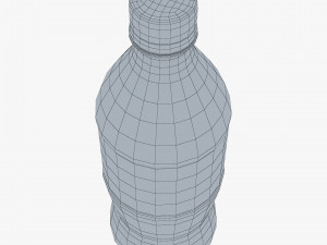 Splashberry Bottle 500ml Simple M 1 3D Model