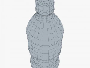 Botol Splashberry 500ml Sederhana M 1 Model 3D