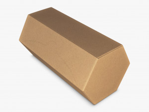 Package Cardboard Hexagon Box M 1 Modelo 3D