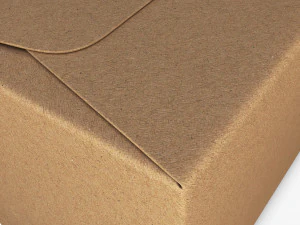 Package Cardboard Trapezoid Box M 1 3D Model