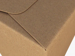 Package Cardboard Trapezoid Box M 2 3D Model