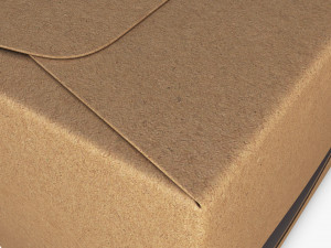 Package Cardboard Trapezoid Box With Window M 1 3D Model
