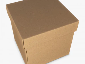 Package Cardboard Box M 2 3D Model